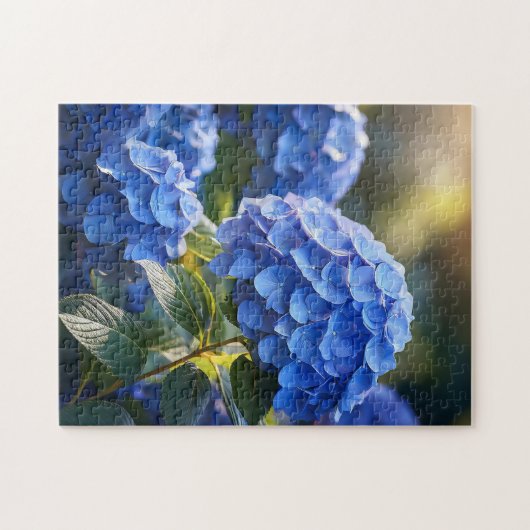 Hortensia Legpuzzel (Horizontaal)