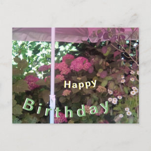 Hortensia onder Zonnescherm Happy Verjaardag Ansic Briefkaart