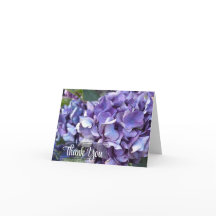 Hortensia Paarse Bloem