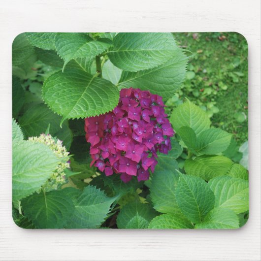 Hortensia Pad Muismat (Voorkant)