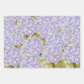 Hortensia Schakeringen Van Violet Blauw Inpakpapier Vel (Voorkant)