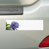 Hortensia Struik Stickers (Op auto)