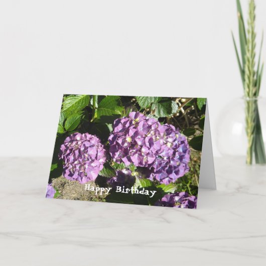 Hortensia verjaardagsgroet kaart (Voorkant)