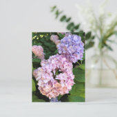 Hortensia's Briefkaart (Staand voorkant)