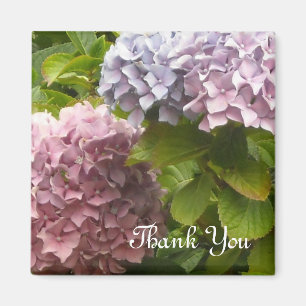Hortensia's Dank Je Magneet