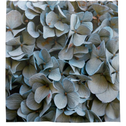 hortensia's douchegordijn (Voorkant)