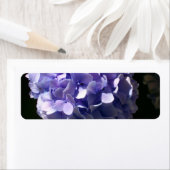 Hortensia's Etiket (Insitu)