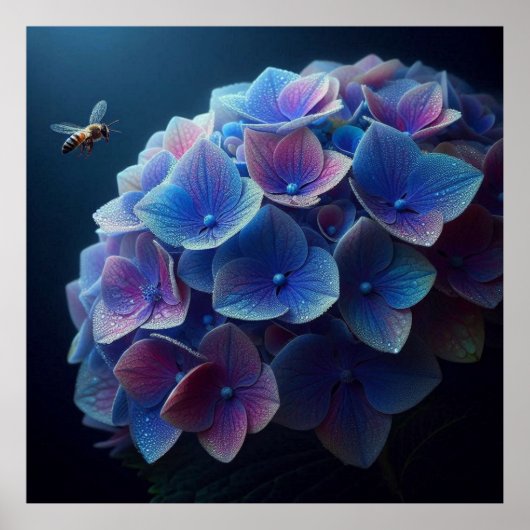 Hortensia's Floral Paarse en Blauw Poster (Voorkant)