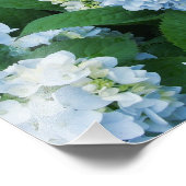 Hortensia's Fotoprint Foto Afdruk (Hoek)