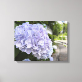 Hortensia's langs de Weg – Natuurfotografie Canvas Afdruk