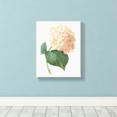 hortensie (Hydrangea sp.) door Redouté Canvas Afdruk (Insitu (Houten vloer))