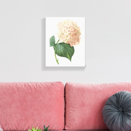 hortensie (Hydrangea sp.) door Redouté Canvas Afdruk (Insitu (Woonkamer))