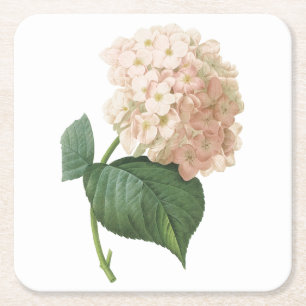 hortensie (Hydrangea sp.) door Redouté Kartonnen Onderzetters