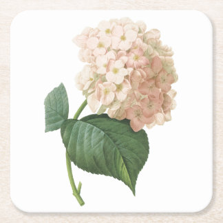 hortensie (Hydrangea sp.) door Redouté Kartonnen Onderzetters