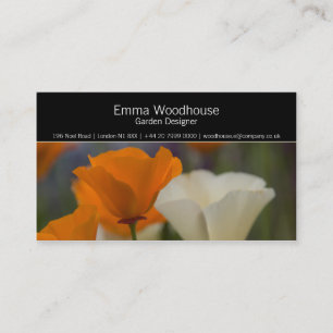 Hortus 2 - California Poppy Visitekaartje