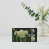 Hortus - Allium Visitekaartje (Staand voorkant)
