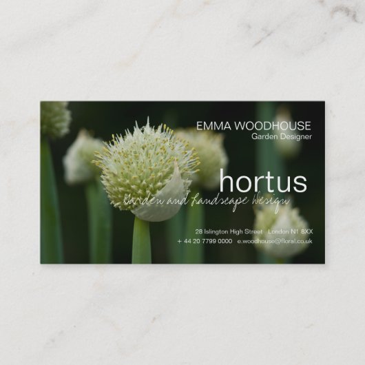 Hortus - Allium Visitekaartje (Voorkant)