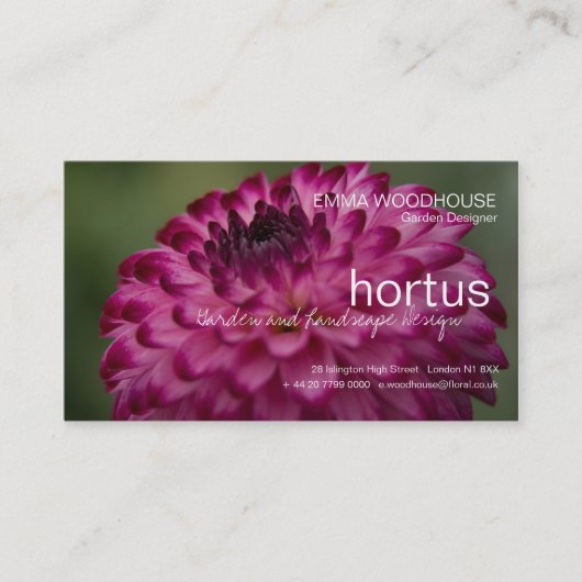 Hortus - Dahlia Visitekaartje (Voorkant)