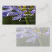 Hortus - Visitekaartje Agapanthus (Voorkant / Achterkant)