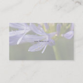 Hortus - Visitekaartje Agapanthus (Achterkant)
