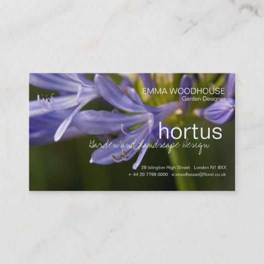 Hortus - Visitekaartje Agapanthus (Voorkant)