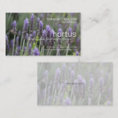 Hortus - Visitekaartje Lavendar (Voorkant / Achterkant)