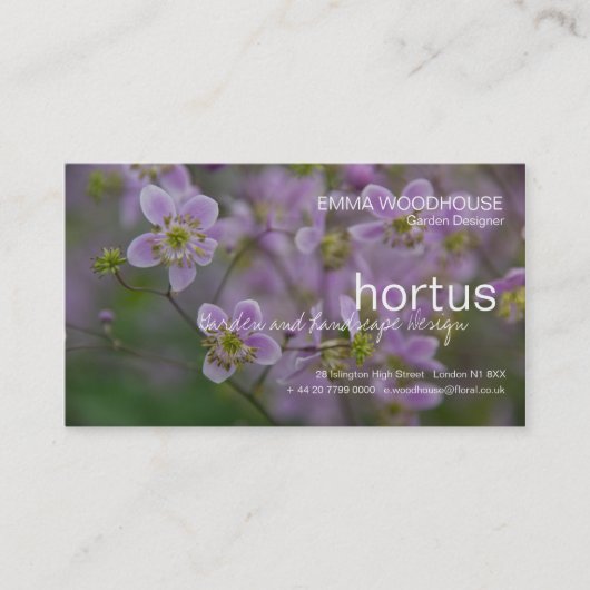 Hortus - Visitekaartje van Thalictrum (Voorkant)