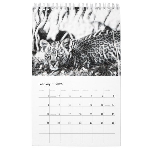 Hosana de Leopard 2019 Wall Calendar Kalender (Feb 2026)