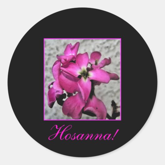 Hosanna! roze bloemige sticker (Voorkant)