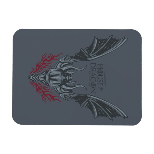 HOSE OF THE DRAGON | Fire-Breathing Dragon Head Magneet (Horizontaal)