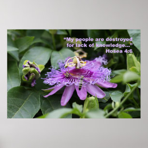 Hosea 4:6 Poster voor scripts