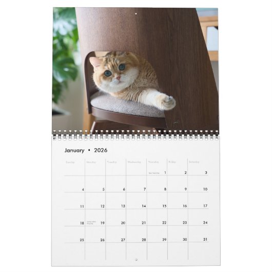 Hosico Calendar 2026 Kalender (Jan 2026)