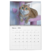 Hosico Calendar 2026 Kalender (Feb 2026)