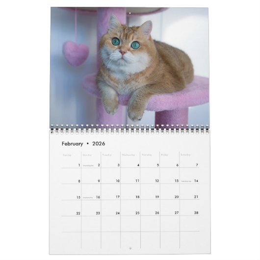 Hosico Calendar 2026 Kalender (Feb 2026)