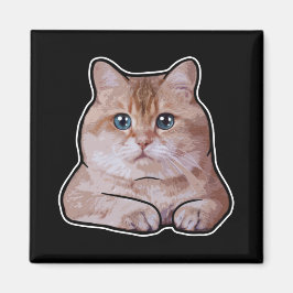 Hosico Cat Magneet