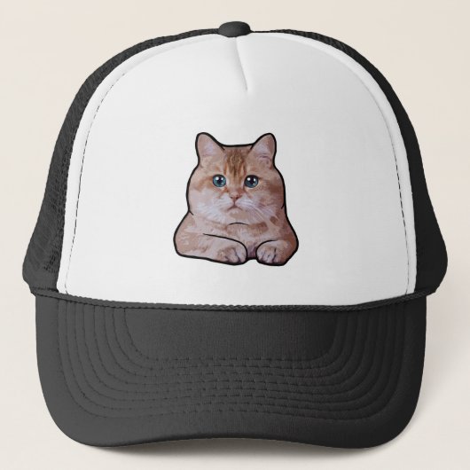 Hosico Cat Trucker Pet (Voorkant)