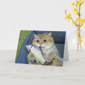 Hosico en de vis kaart (Gele Bloem)