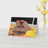 Hosico en gele bladeren kaart (Gele Bloem)