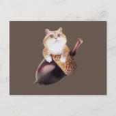 Hosico Epifania Briefkaart (Voorkant)