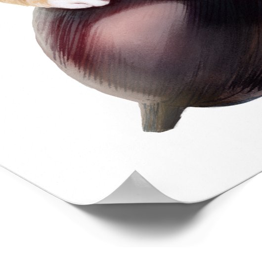 Hosico Epifania Poster (Hoek)