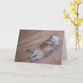 Hosico flies kaart (Gele Bloem)