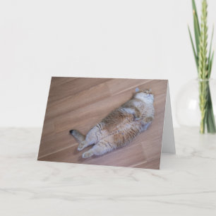 Hosico flies kaart