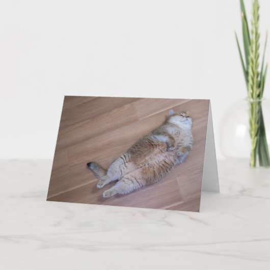 Hosico flies kaart (Voorkant)