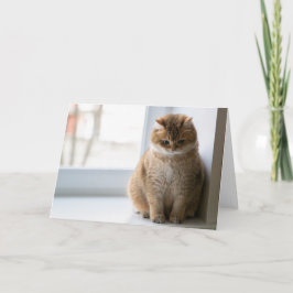 Hosico-gedachte Kaart