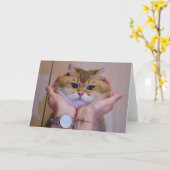 Hosico in de handpalmen kaart (Gele Bloem)