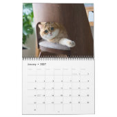 Hosico Kalender 2026 (Jan 2027)