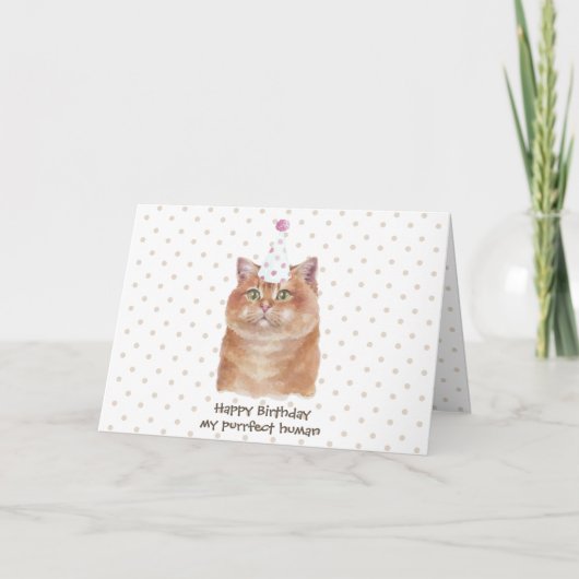 Hosico Kat met Feestmuts Kaart (Voorkant)