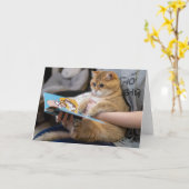 Hosico leest een boek kaart (Gele Bloem)