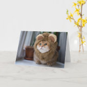 Hosico lion kaart (Gele Bloem)