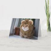 Hosico lion kaart (Voorkant)